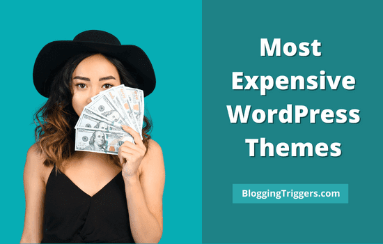 Expensive-WordPress-Themes