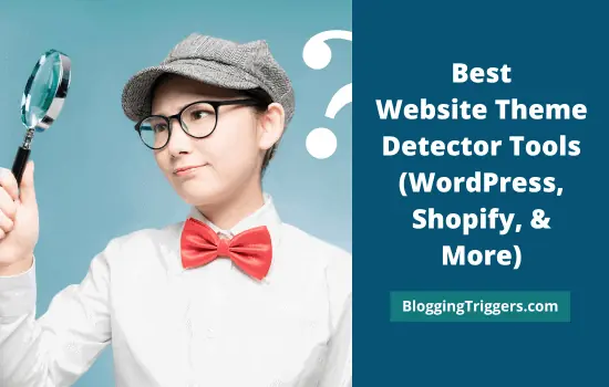 Best Website Theme Detector Tools