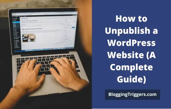 How-to-Unpublish-a-WordPress-Website